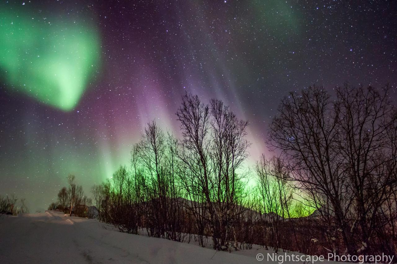 Aurora View Cabin Lyngseidet Kültér fotó