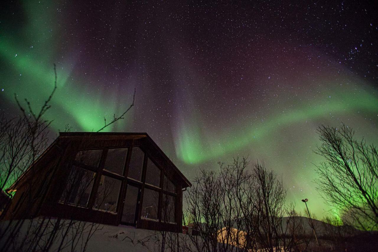 Aurora View Cabin Lyngseidet Kültér fotó